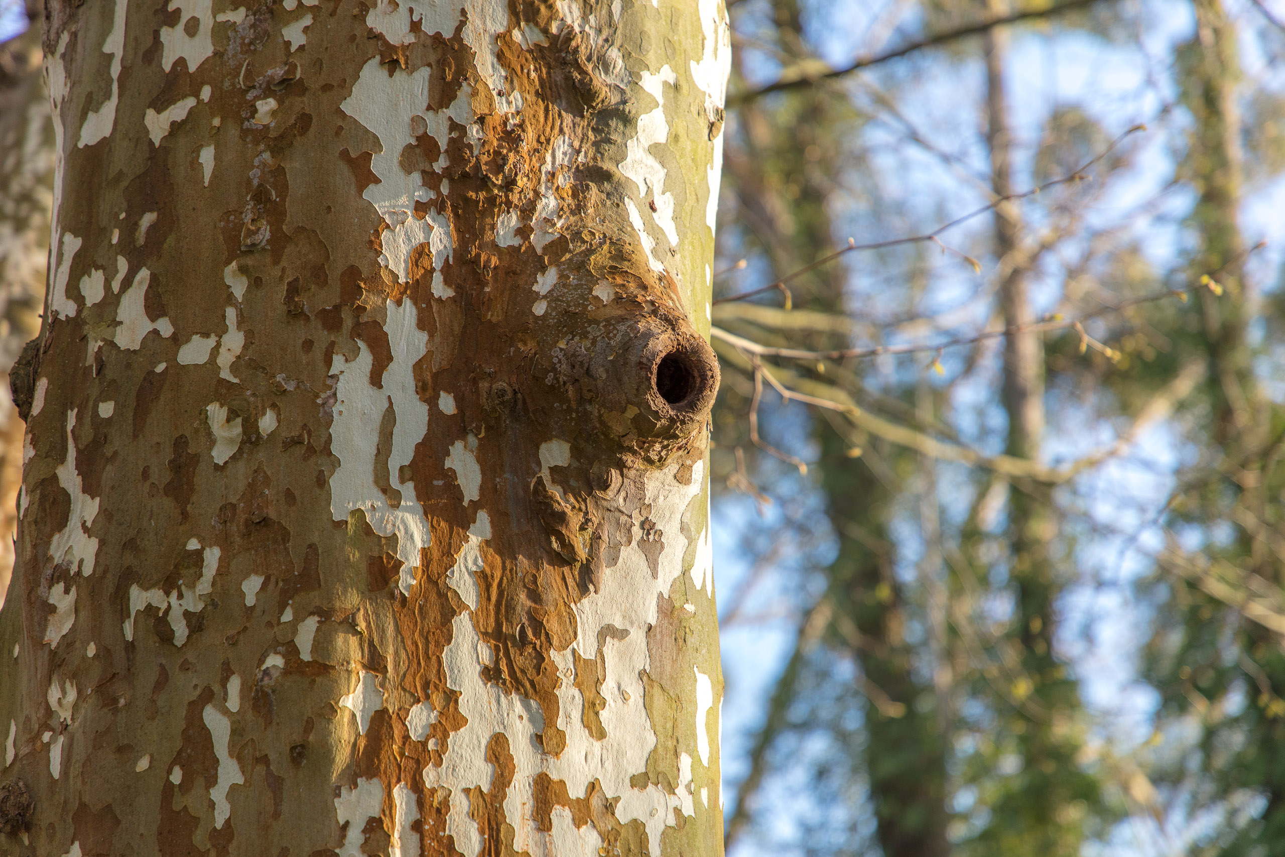 20180414190800 DP014972